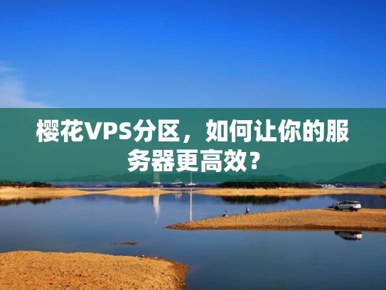 樱花VPS分区，如何让你的服务器更高效？