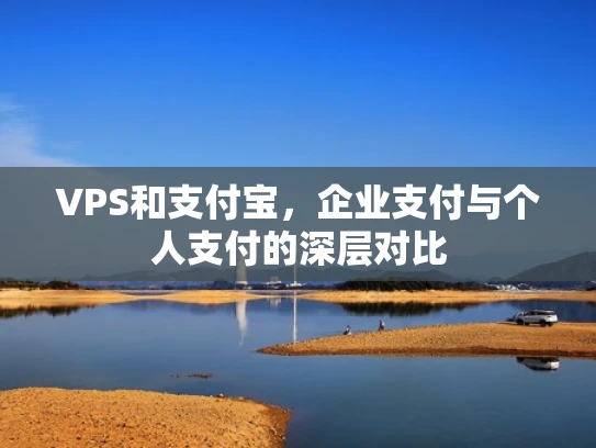 VPS和支付宝，企业支付与个人支付的深层对比