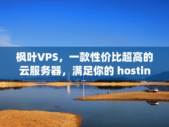枫叶VPS，一款性价比超高的云服务器，满足你的 hosting 需求