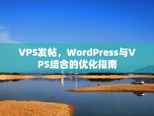 VPS发帖，WordPress与VPS结合的优化指南