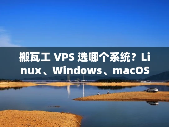 搬瓦工 VPS 选哪个系统？Linux、Windows、macOS和Docker都行？