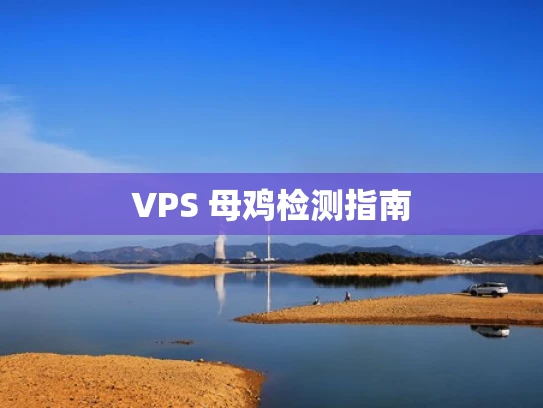 VPS 母鸡检测指南