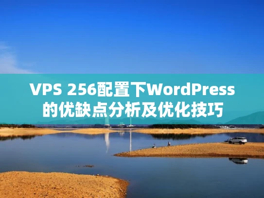 VPS 256配置下WordPress的优缺点分析及优化技巧