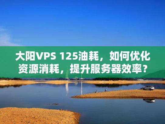 大阳VPS 125油耗，如何优化资源消耗，提升服务器效率？