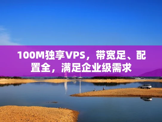 100M独享VPS，带宽足、配置全，满足企业级需求