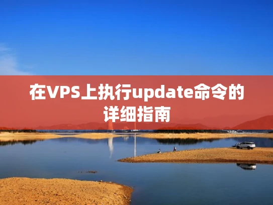 在VPS上执行update命令的详细指南