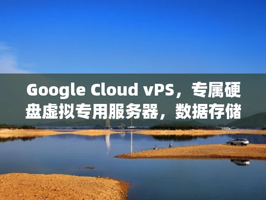 Google Cloud vPS，专属硬盘虚拟专用服务器，数据存储与计算的完美结合