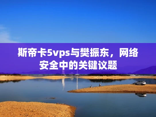 斯帝卡5vps与樊振东，网络安全中的关键议题
