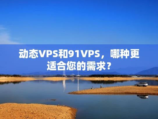 动态VPS和91VPS，哪种更适合您的需求？