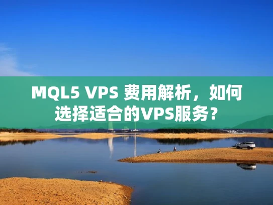 MQL5 VPS 费用解析，如何选择适合的VPS服务？