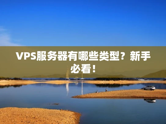 VPS服务器有哪些类型？新手必看！