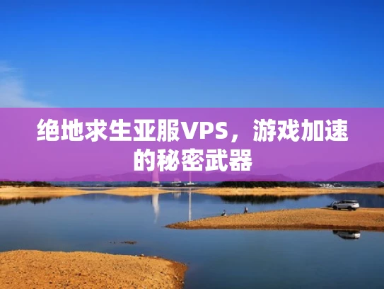 绝地求生亚服VPS，游戏加速的秘密武器