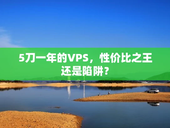 5刀一年的VPS，性价比之王还是陷阱？