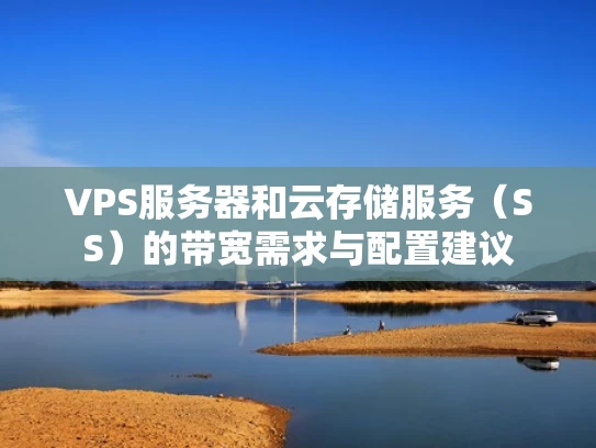 VPS服务器和云存储服务（SS）的带宽需求与配置建议