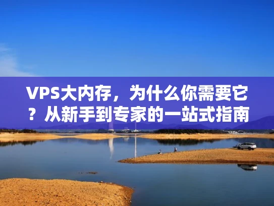 VPS大内存，为什么你需要它？从新手到专家的一站式指南）