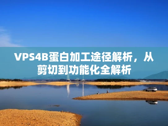 VPS4B蛋白加工途径解析，从剪切到功能化全解析
