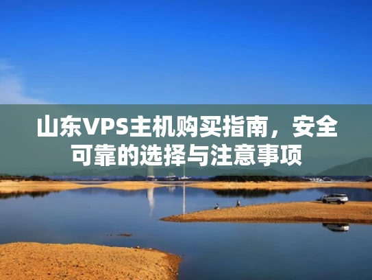 山东VPS主机购买指南，安全可靠的选择与注意事项