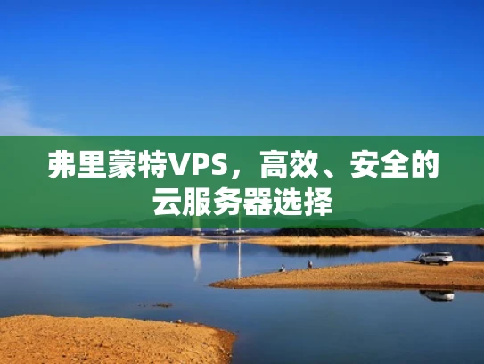 弗里蒙特VPS，高效、安全的云服务器选择