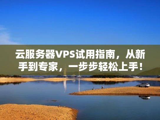 云服务器VPS试用指南，从新手到专家，一步步轻松上手！