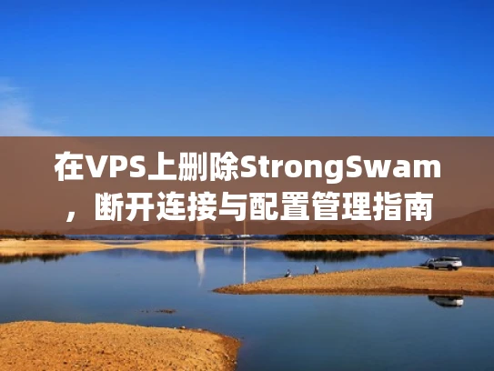 在VPS上删除StrongSwam，断开连接与配置管理指南