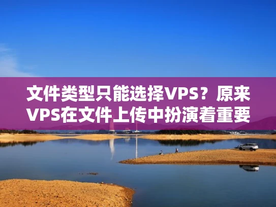 文件类型只能选择VPS？原来VPS在文件上传中扮演着重要角色
