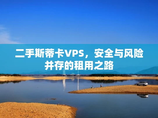 二手斯蒂卡VPS，安全与风险并存的租用之路