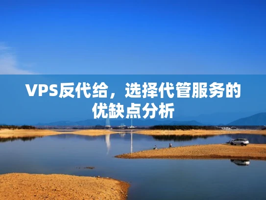 VPS反代给，选择代管服务的优缺点分析