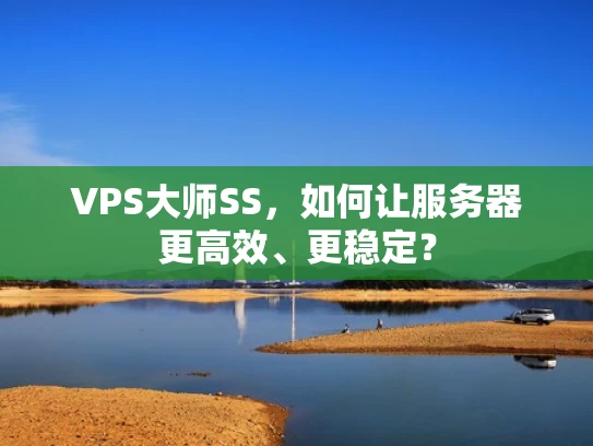 VPS大师SS，如何让服务器更高效、更稳定？