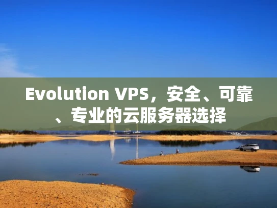 Evolution VPS，安全、可靠、专业的云服务器选择
