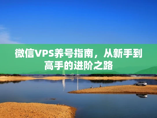 微信VPS养号指南，从新手到高手的进阶之路
