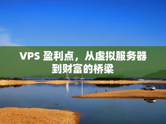 VPS 盈利点，从虚拟服务器到财富的桥梁