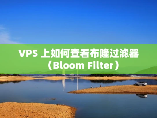 VPS 上如何查看布隆过滤器（Bloom Filter）
