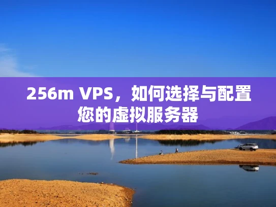 256m VPS，如何选择与配置您的虚拟服务器