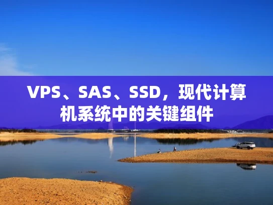 VPS、SAS、SSD，现代计算机系统中的关键组件
