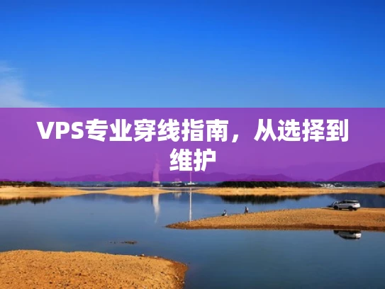 VPS专业穿线指南，从选择到维护
