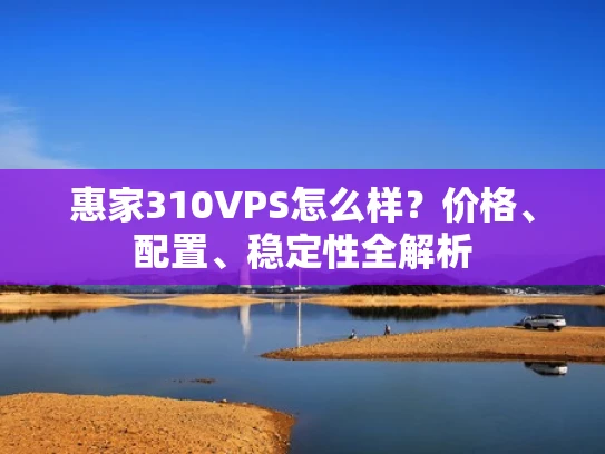 惠家310VPS怎么样？价格、配置、稳定性全解析