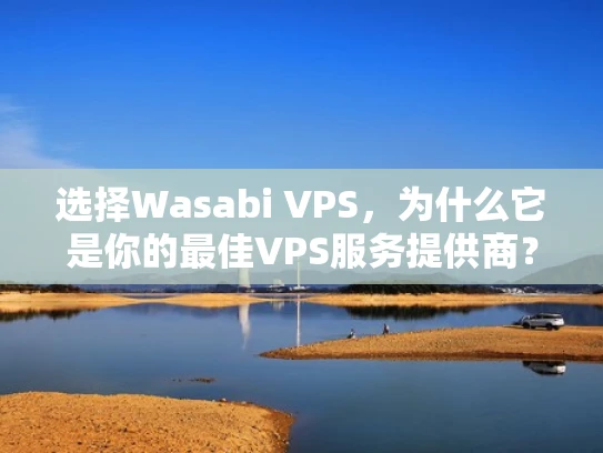 选择Wasabi VPS，为什么它是你的最佳VPS服务提供商？