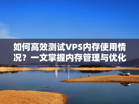 如何高效测试VPS内存使用情况？一文掌握内存管理与优化技巧