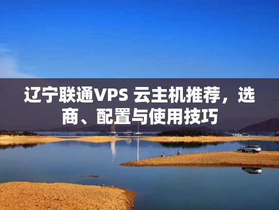 辽宁联通VPS 云主机推荐，选商、配置与使用技巧