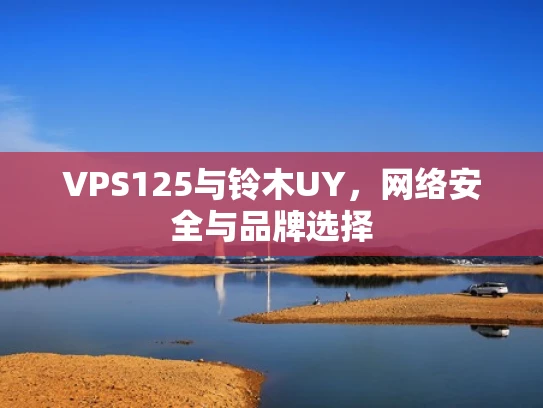 VPS125与铃木UY，网络安全与品牌选择