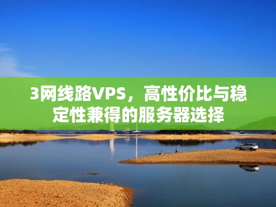 3网线路VPS，高性价比与稳定性兼得的服务器选择