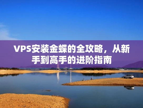 VPS安装金蝶的全攻略，从新手到高手的进阶指南