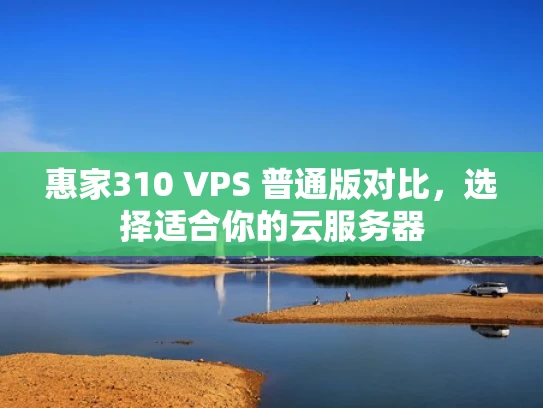 惠家310 VPS 普通版对比，选择适合你的云服务器