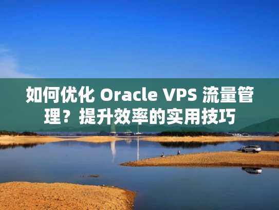 如何优化 Oracle VPS 流量管理？提升效率的实用技巧