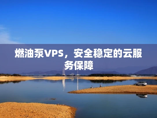 燃油泵VPS，安全稳定的云服务保障