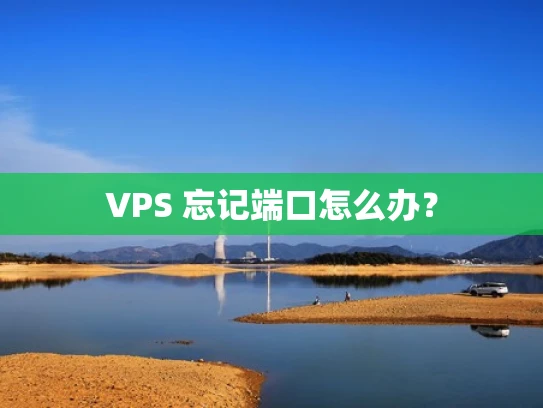 VPS 忘记端口怎么办？