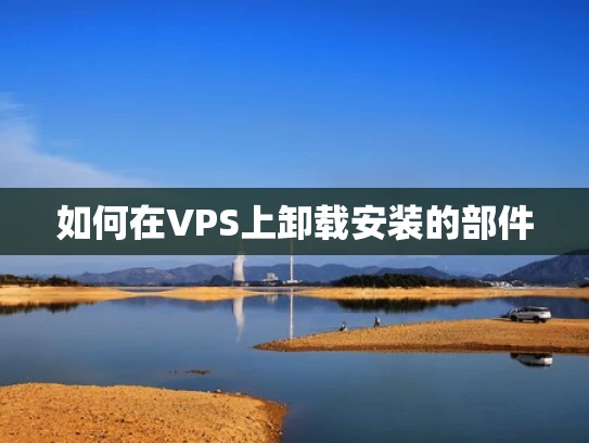 如何在VPS上卸载安装的部件