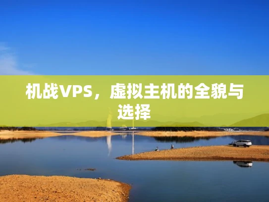 机战VPS，虚拟主机的全貌与选择