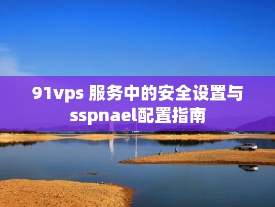 91vps 服务中的安全设置与sspnael配置指南