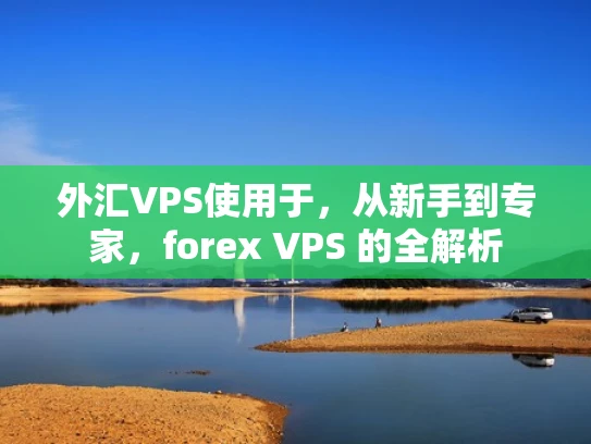 外汇VPS使用于，从新手到专家，forex VPS 的全解析